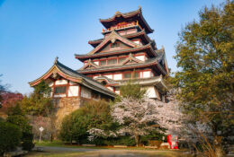 Japan_Sakura_2025 (21/79)